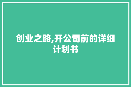 创业之路,开公司前的详细计划书