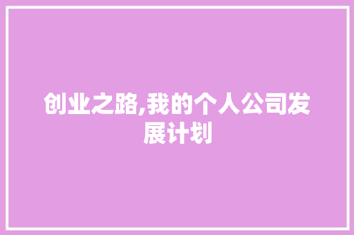 创业之路,我的个人公司发展计划