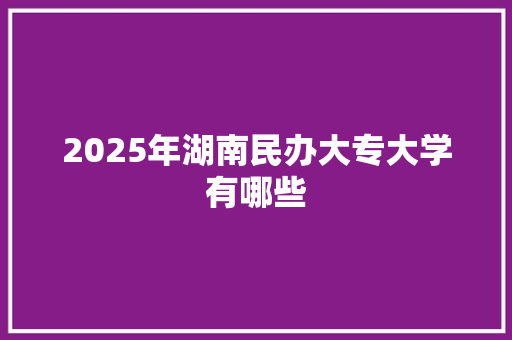 2025年湖南民办大专大学有哪些