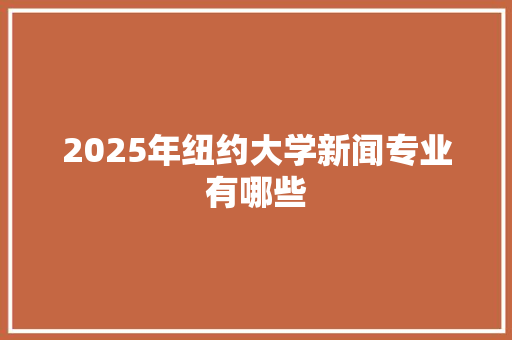 2025年纽约大学新闻专业有哪些