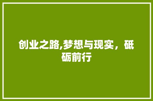 创业之路,梦想与现实，砥砺前行