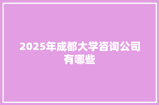 2025年成都大学咨询公司有哪些