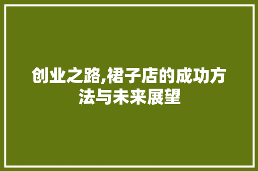 创业之路,裙子店的成功方法与未来展望