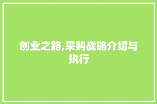 创业之路,采购战略介绍与执行