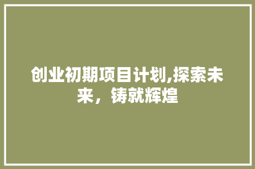 创业初期项目计划,探索未来，铸就辉煌