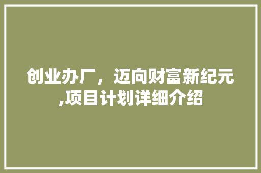 创业办厂，迈向财富新纪元,项目计划详细介绍