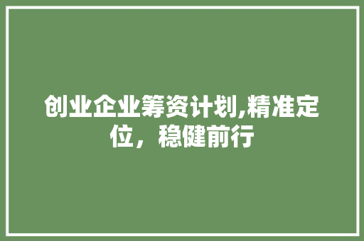 创业企业筹资计划,精准定位，稳健前行