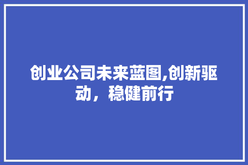 创业公司未来蓝图,创新驱动，稳健前行