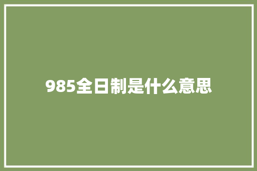 985全日制是什么意思