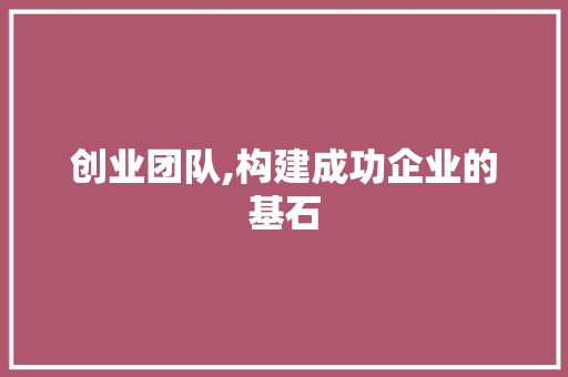 创业团队,构建成功企业的基石