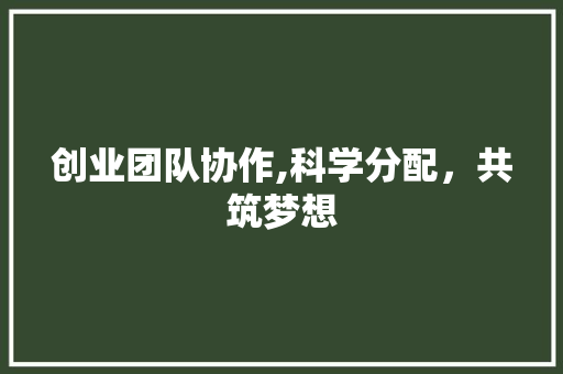 创业团队协作,科学分配，共筑梦想