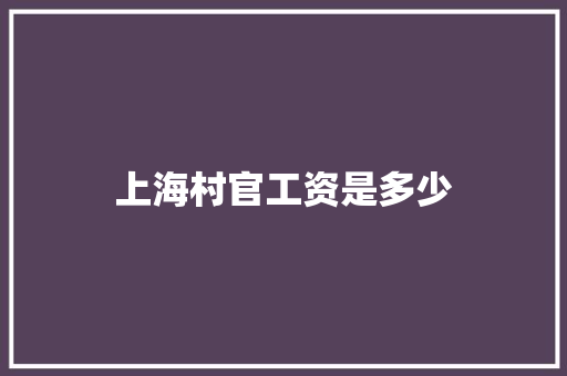 上海村官工资是多少