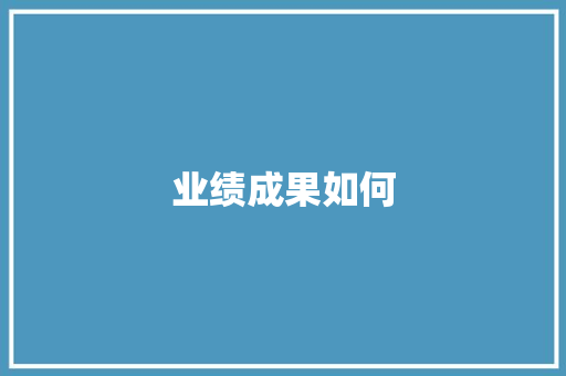 业绩成果如何