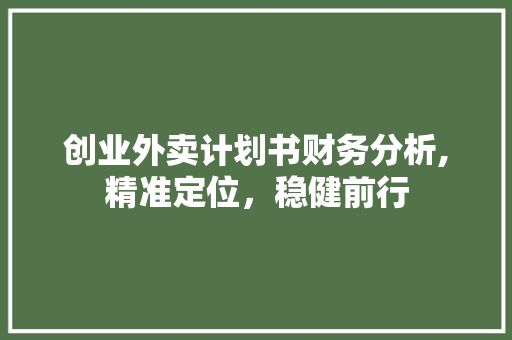 创业外卖计划书财务分析,精准定位，稳健前行