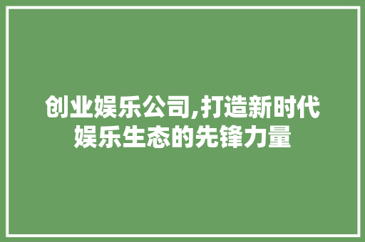 创业娱乐公司,打造新时代娱乐生态的先锋力量
