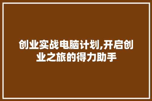创业实战电脑计划,开启创业之旅的得力助手