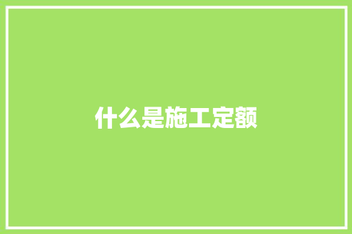 什么是施工定额