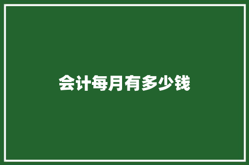 会计每月有多少钱