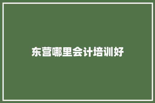 东营哪里会计培训好