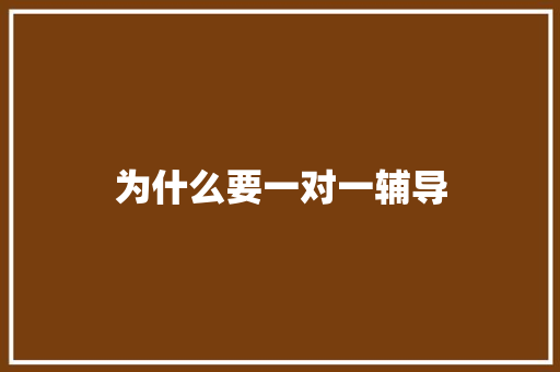 为什么要一对一辅导