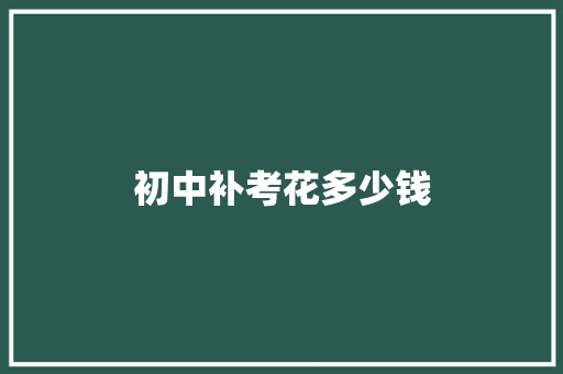 初中补考花多少钱