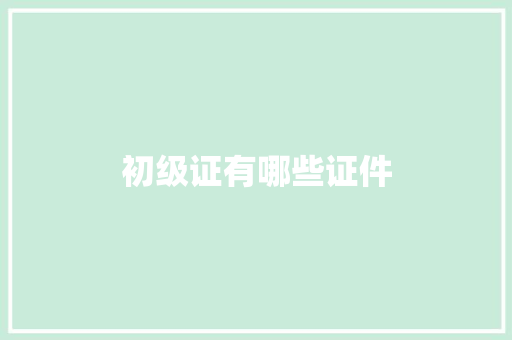 初级证有哪些证件