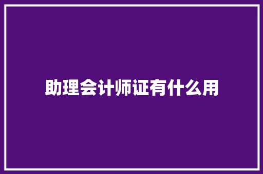 助理会计师证有什么用