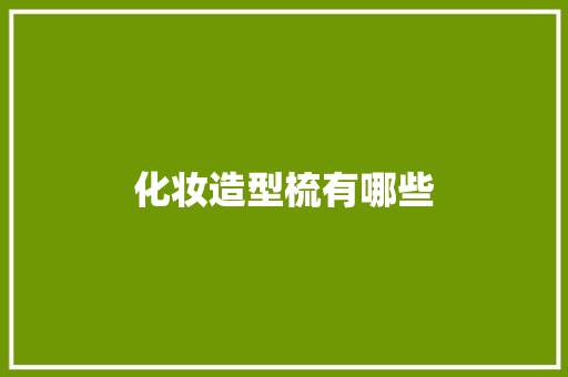 化妆造型梳有哪些