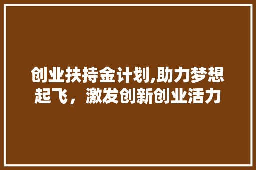 创业扶持金计划,助力梦想起飞，激发创新创业活力
