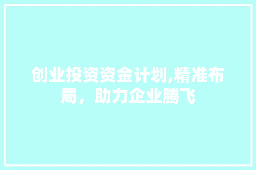创业投资资金计划,精准布局，助力企业腾飞