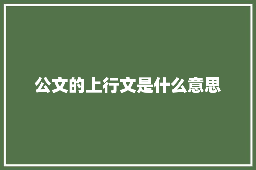 公文的上行文是什么意思