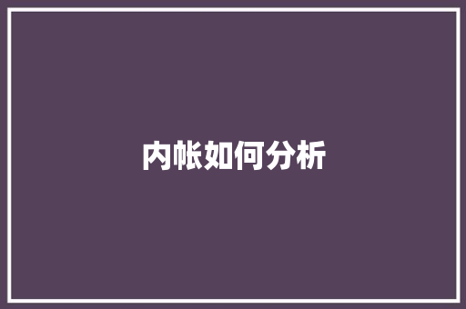 内帐如何分析