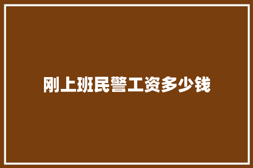 刚上班民警工资多少钱