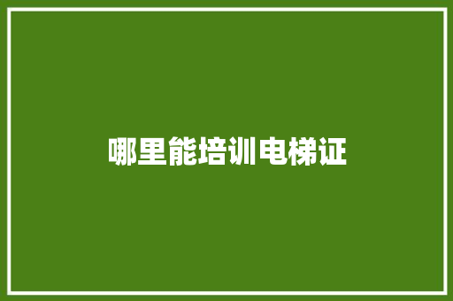 哪里能培训电梯证