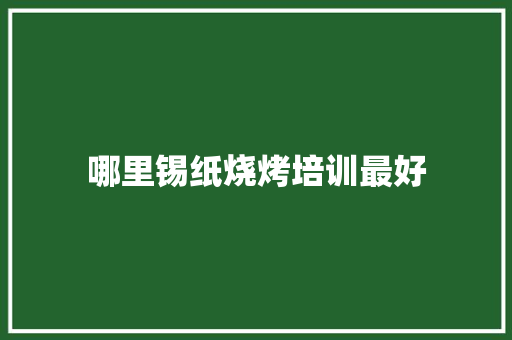 哪里锡纸烧烤培训最好