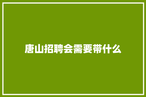 唐山招聘会需要带什么