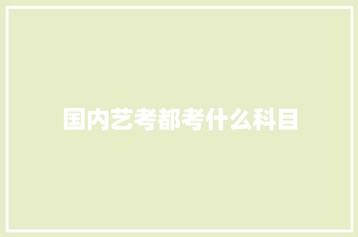 国内艺考都考什么科目