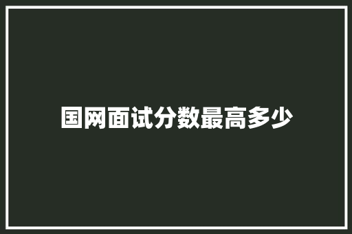 国网面试分数最高多少