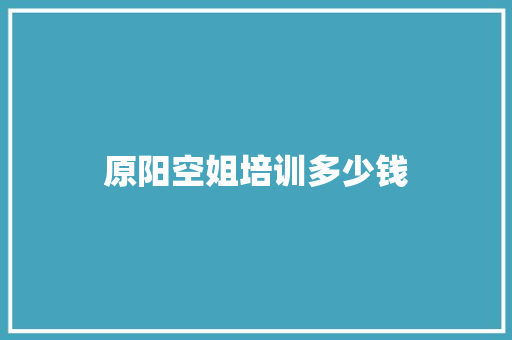 原阳空姐培训多少钱