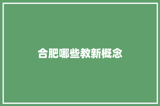 合肥哪些教新概念
