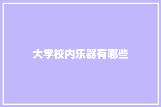 大学校内乐器有哪些