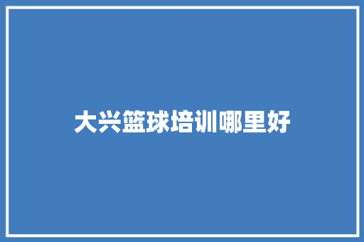 大兴篮球培训哪里好