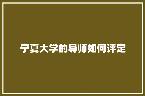 宁夏大学的导师如何评定