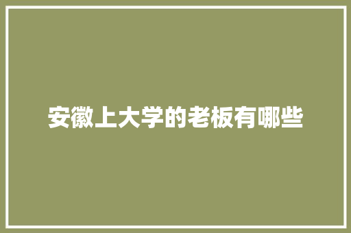 安徽上大学的老板有哪些