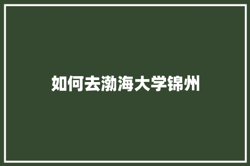 如何去渤海大学锦州