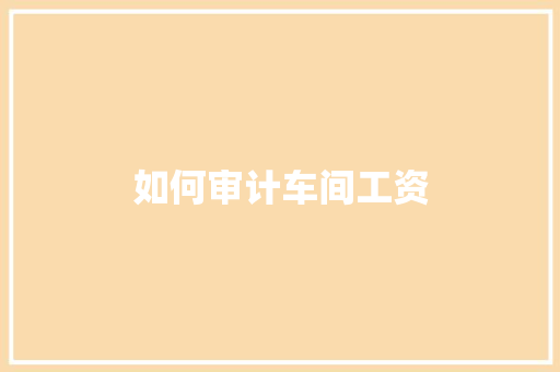 如何审计车间工资 职场应用