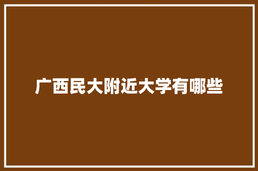 广西民大附近大学有哪些