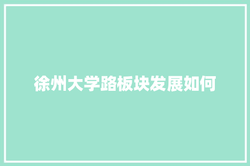 徐州大学路板块发展如何