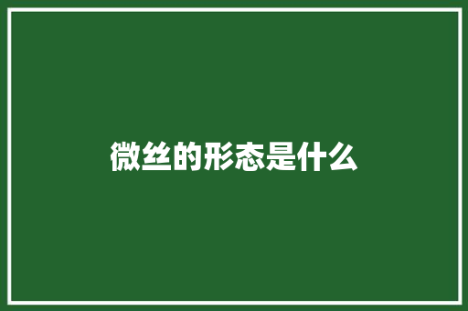 微丝的形态是什么