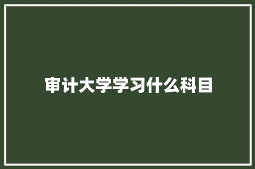 审计大学学习什么科目